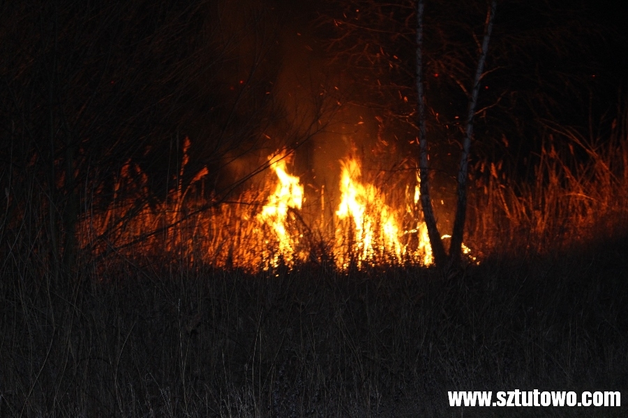 Pożar traw w Grochowie Pierwszym, fot. 2/27
