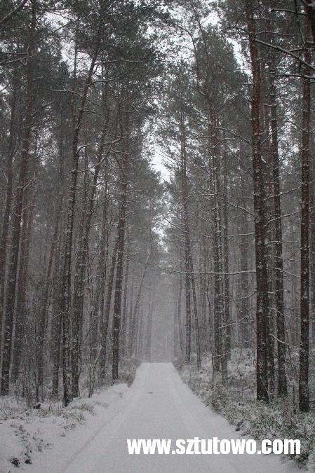 Zima 2016 w gminie Sztutowo, fot. 38/42