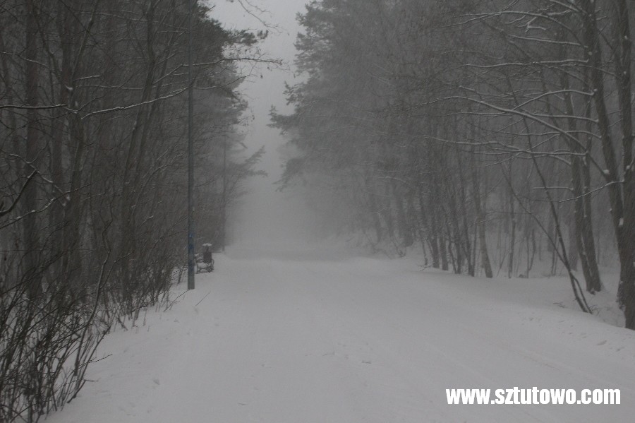 Zima 2016 w gminie Sztutowo, fot. 41/42