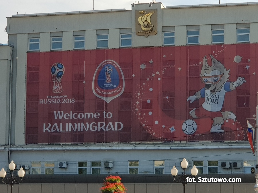 Mecz Chorwacja - Nigeria w Kaliningradzie, fot. 1/31