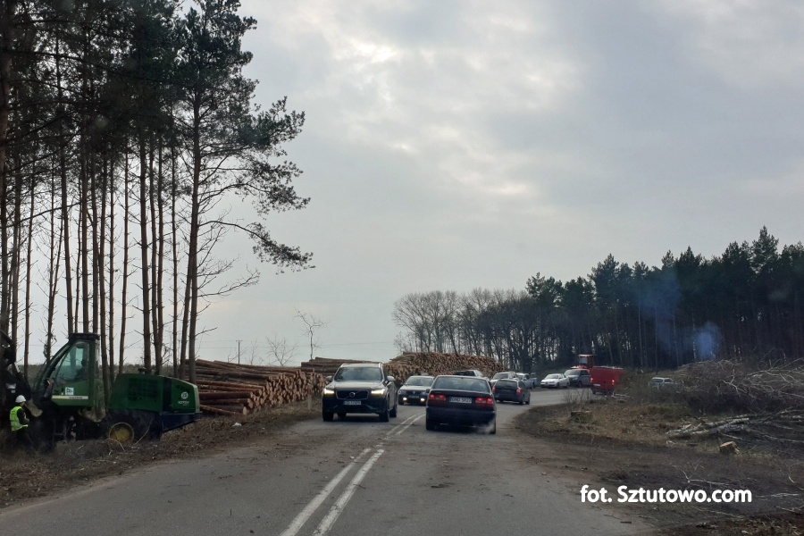 Wycinka drzew na miejscu Przekopu Mierzei Wiślanej 17.02.2019 - godz. 15:00, fot. 20/31