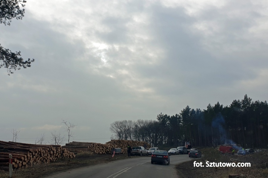 Wycinka drzew na miejscu Przekopu Mierzei Wiślanej 17.02.2019 - godz. 15:00, fot. 21/31